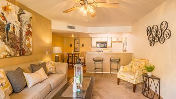 Ceiling fans